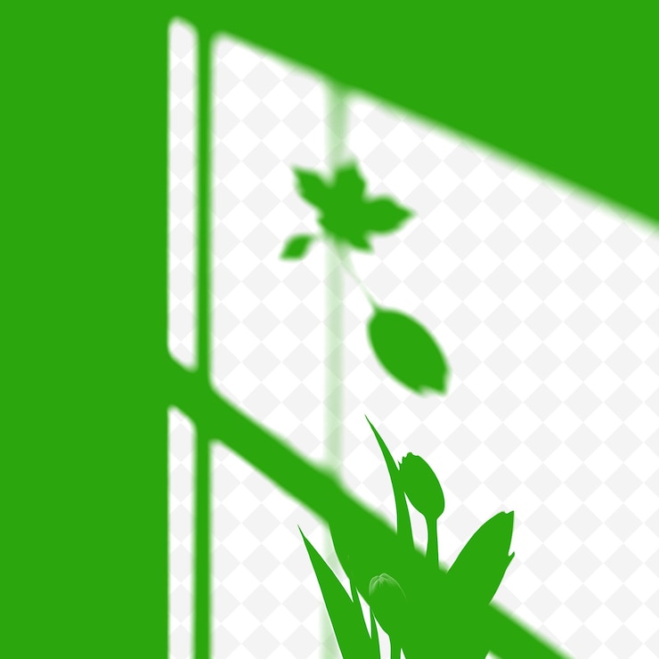PSD tulip leaf shadows casting smooth elongated shapes soft flowing png shadow cast illustrations