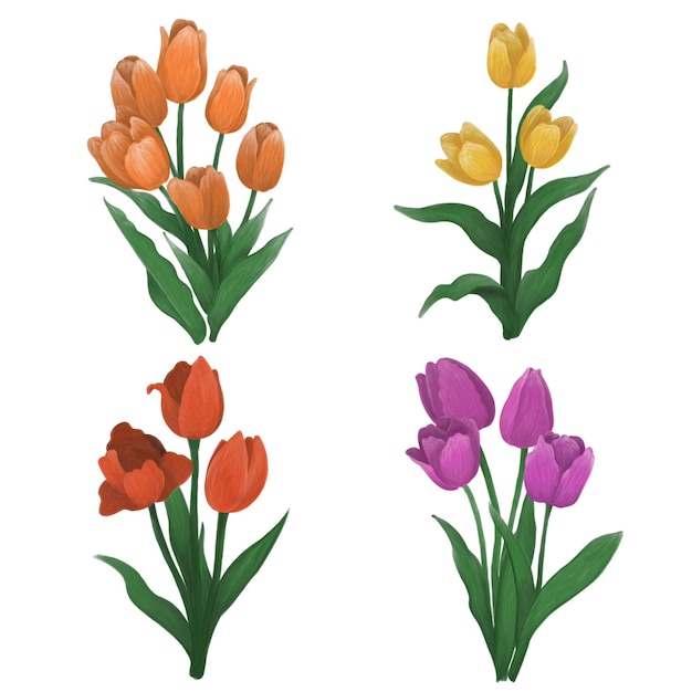 PSD tulip painting elements