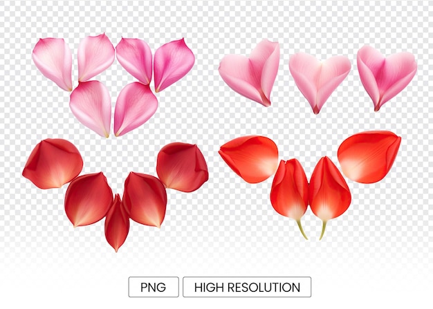 PSD Листья тюльпанов, образующие форму сердца, изолированы на прозрачном фоне, цветочные элементы высокого разрешения