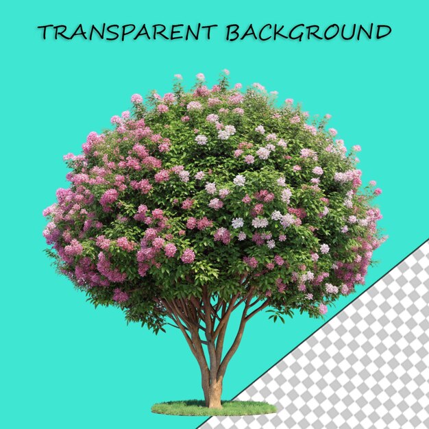 PSD tulip tree png isolated on transparent background