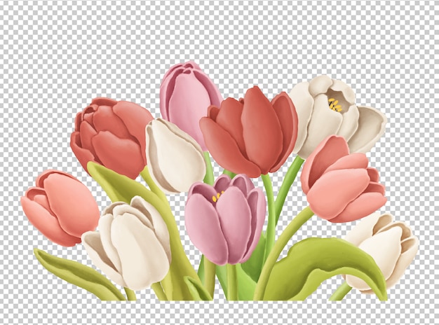 PSD illustrazione disegnata a mano del mazzo dei tulipani