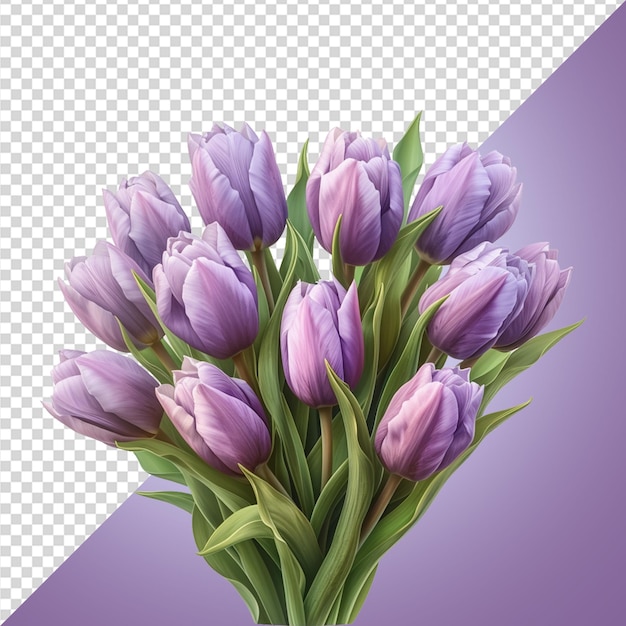 Tulpenbloem png