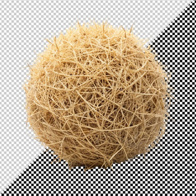PSD tumbleweed dry weed ball isolated on transparent background