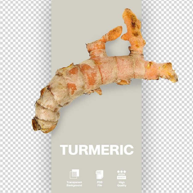 PSD turmeric curcuma longa