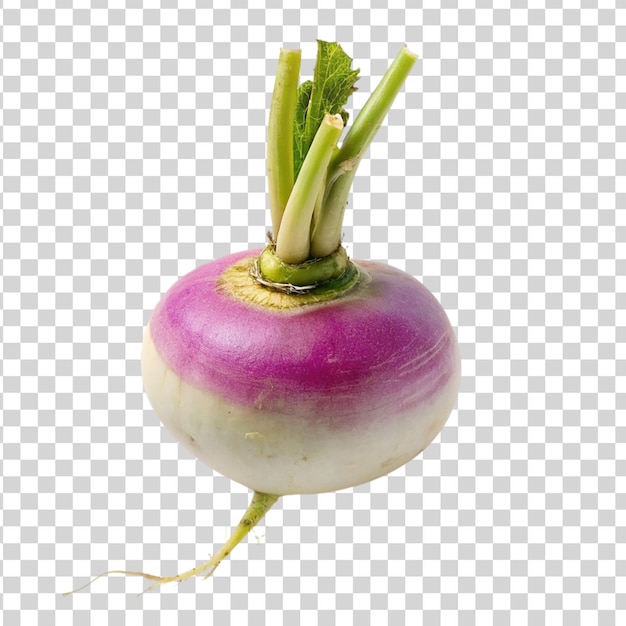 PSD turnip isolated on transparent background