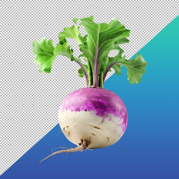 PSD turnip png