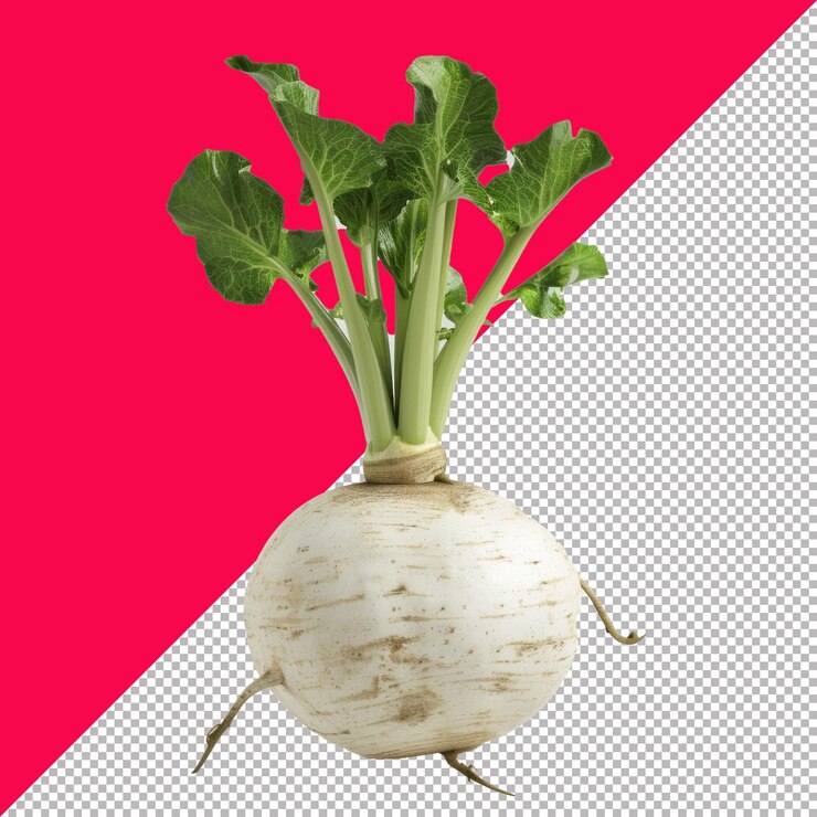 PSD turnip transparent background png psd