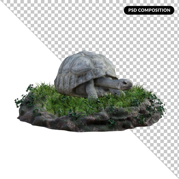 PSD turtle alpha isolated 3d rendering