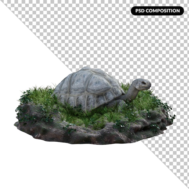 turtle alpha isolated 3d rendering
