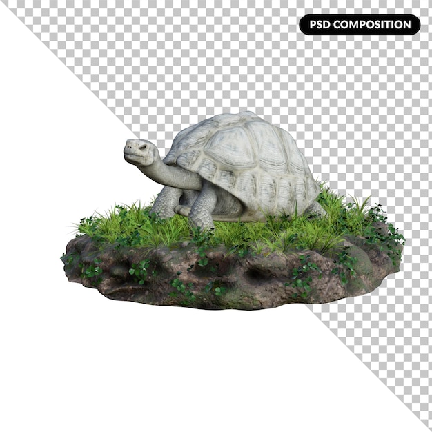 turtle alpha isolated 3d rendering