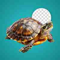 PSD turtle clipart on transparent background