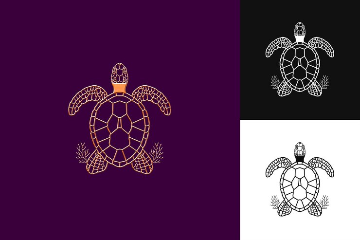PSD turtle shell with coral branch outlines and simplify design creative illustration vector design