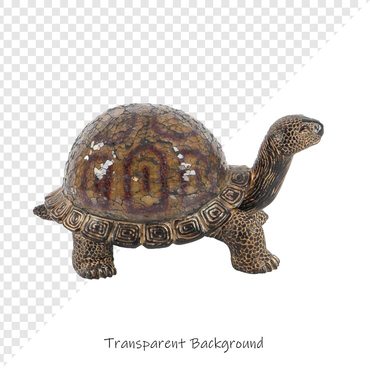 PSD a turtle with the word  hypoaller  on it