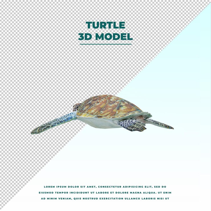 PSD turtle