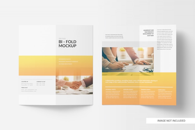 PSD tweevoudig brochure-model