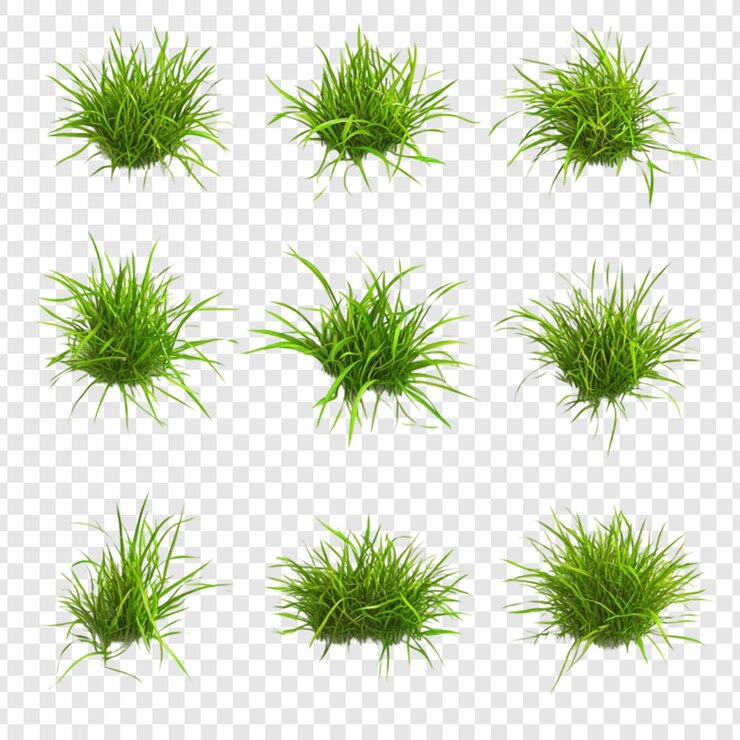 PSD twelve lush green grass tufts isolated on transparent background perfect for design projects nature elements spring summer greenery meadow lawn landscaping