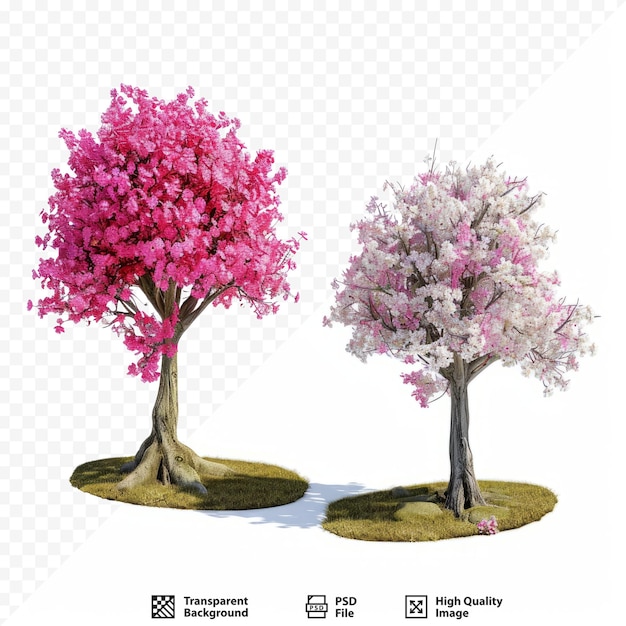 PSD 두 그루의 꽃나무