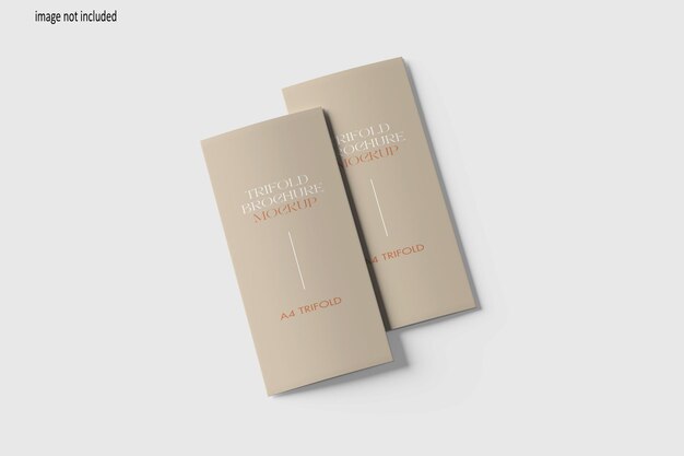 저자의 두 권의 책, 첫 번째는 저자의 책이다.