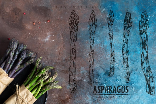 Two bunches of home grown raw organic purple and green asparagus spears for cooking healthy vegetarian dieting food on a dark stone surface copy space Vegan concept