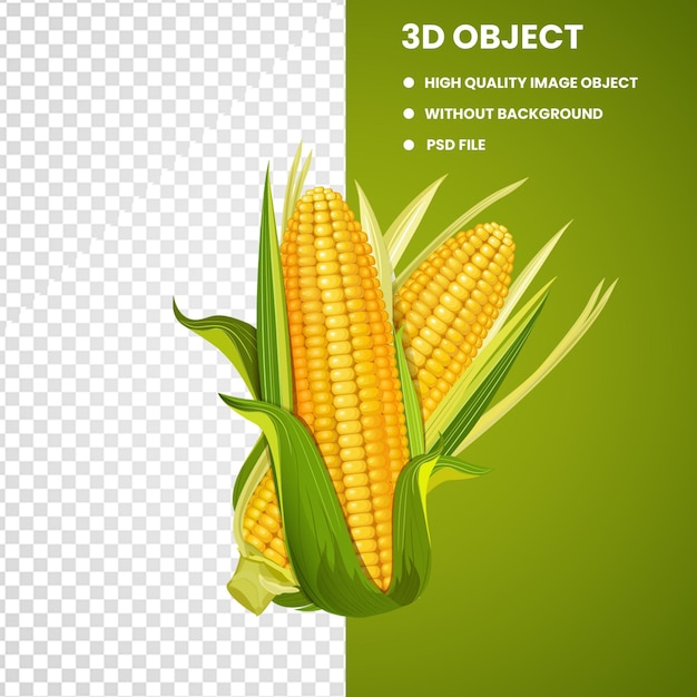 two corn on the cob
