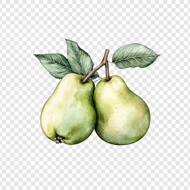 PSD two fresh pears illustration