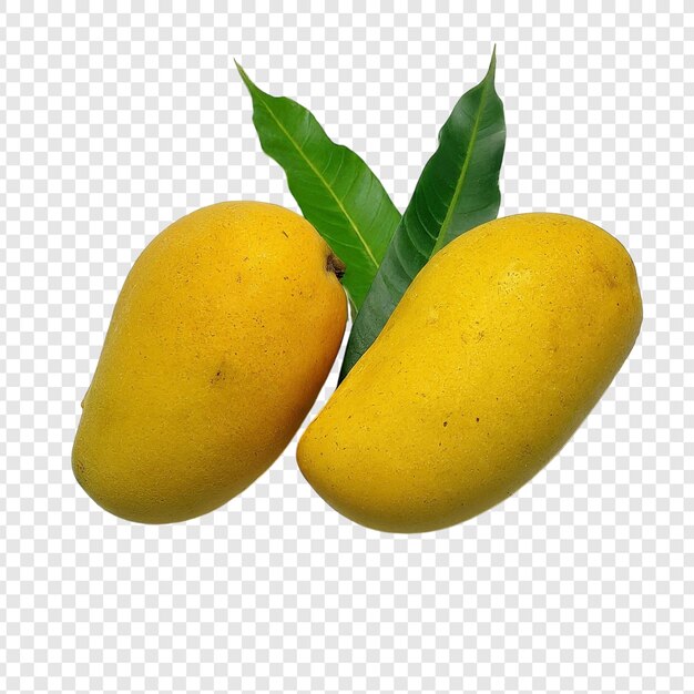 PSD two mangoes on a transparent background