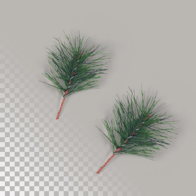 PSD two piece christmas green pine leaf isolated