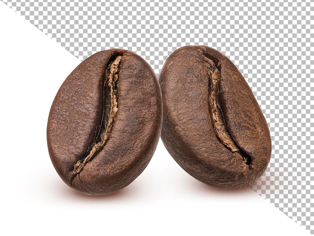 Two roasted coffee beans isolated on white background