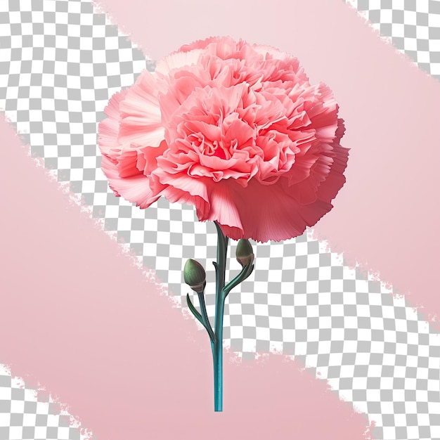 PSD type of flower