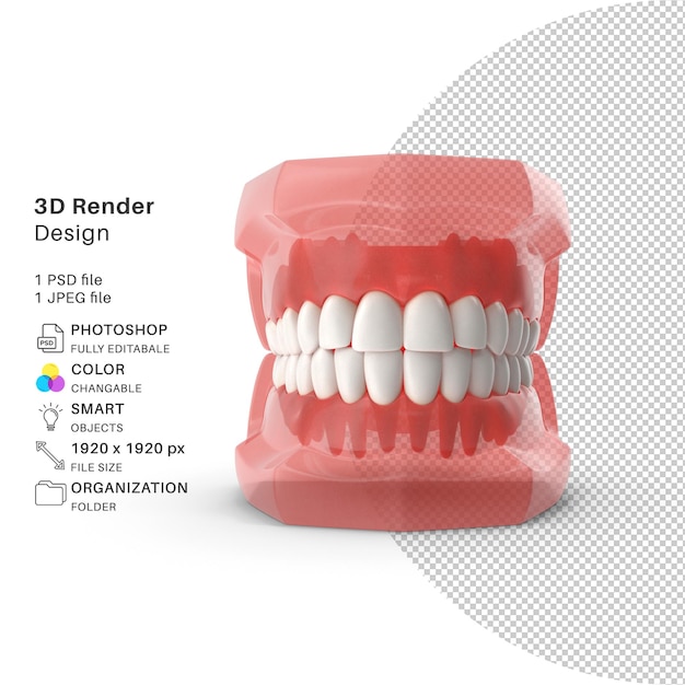 PSD typodont tooth retainer modellazione 3d psd file realisti