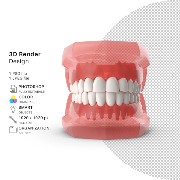 PSD タイポドント・トゥース・リテイナー 3d モデリング psd ファイル