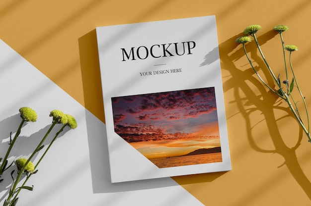 Układ magazynów i roślin