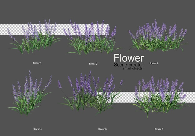 Ulike typer blomster i forskjellige stiler
