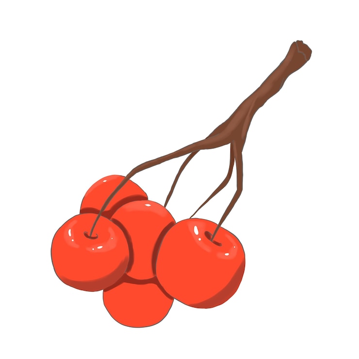 PSD unch van rode bessen kleur illustratie