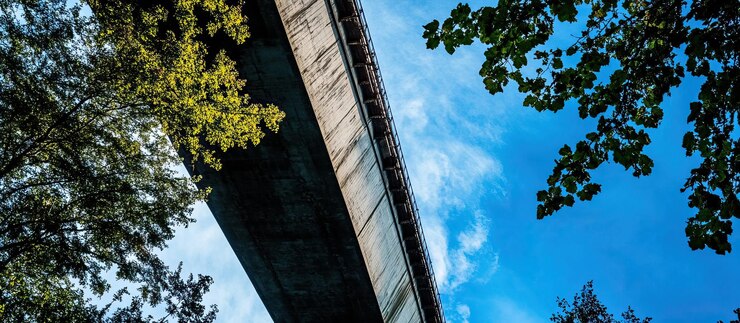 PSD underneath the bridge a view of the sky through foliage