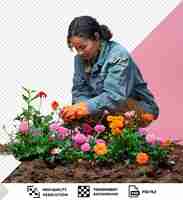 PSD unique delighted gardener who plants flowers in a garden bed png psd