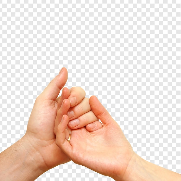 united hands isolated on transparent background
