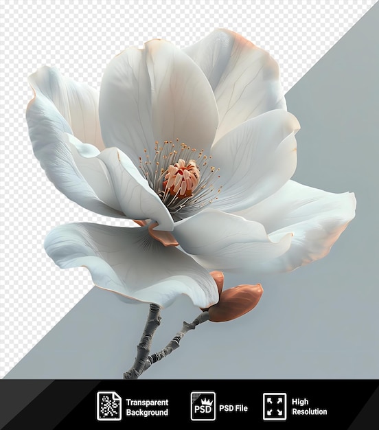 PSD unusual handmade flower made of artificial materials on a gray background png