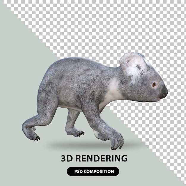 urocza koala renderowania 3d