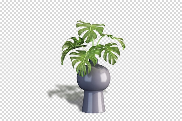 Vaas met monstera in 3d-verkleuring