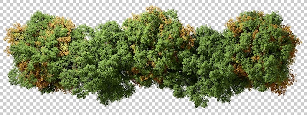 Van boven uitzicht bossen bomen groen en geel bladeren geïsoleerd doorzichtige achtergronden 3d render