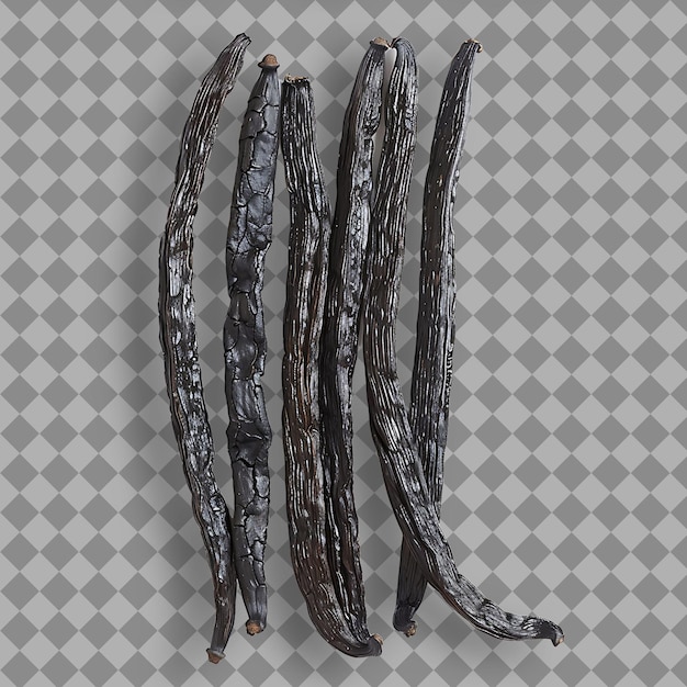 PSD vanilla beans herb type vanilla planifolia form of herb drie izolowany obiekt na czystym tle
