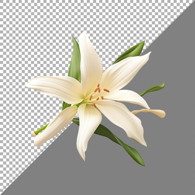 PSD vanilla flower on transparent background ai generated