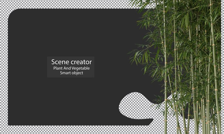 PSD varieties of bamboo plants isolated bamboo clipping path