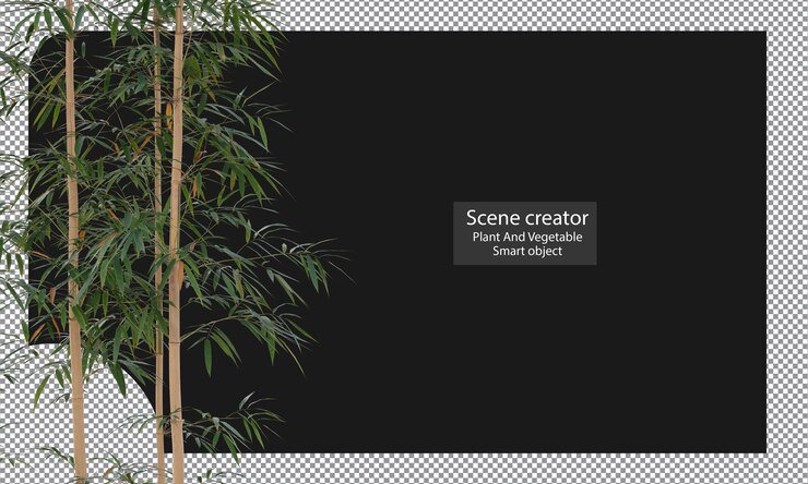 PSD varieties of bamboo plants isolated bamboo clipping path