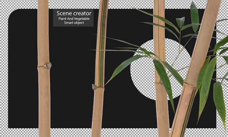 PSD varieties of bamboo plants isolated bamboo clipping path