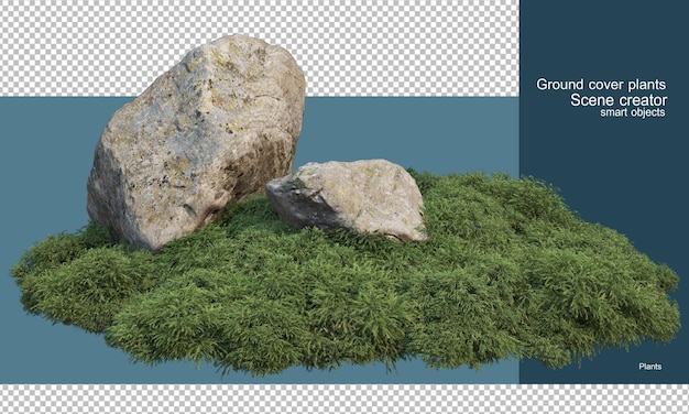 PSD varietà di rocce nel giardino degli arbusti