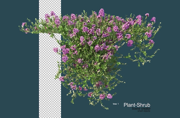 PSD variety of flowers and shrubs