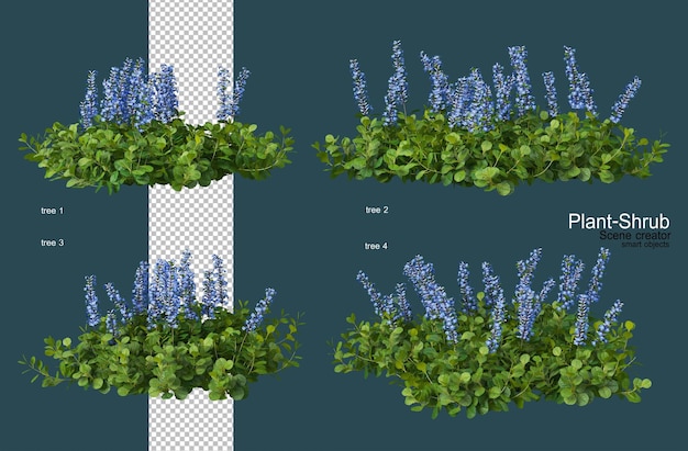 PSD variety of flowers and shrubs