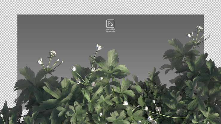 PSD 分離されたさまざまな草の花や小さな植物